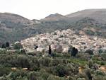 Filoti village in the middle of Naxos with olive groves.