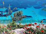Flotilla cruises: Samos coastline